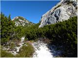 Planina Ravne - Kocbekov dom na Korošici